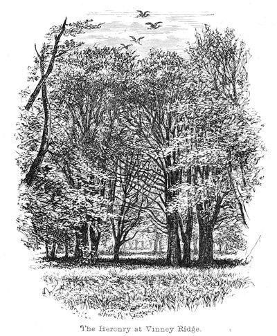 The Heronry at Vinney Ridge by Walter Crane
